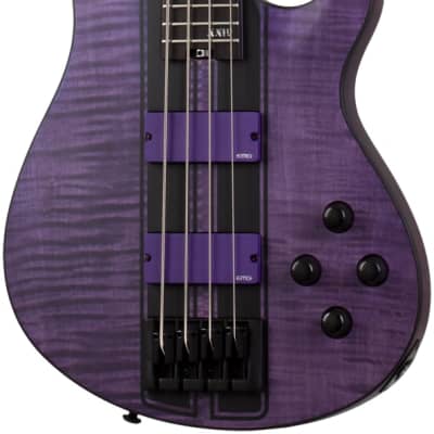 SCHECTER Bassgitarre, C-4 GT, Satin Trans Purple for sale