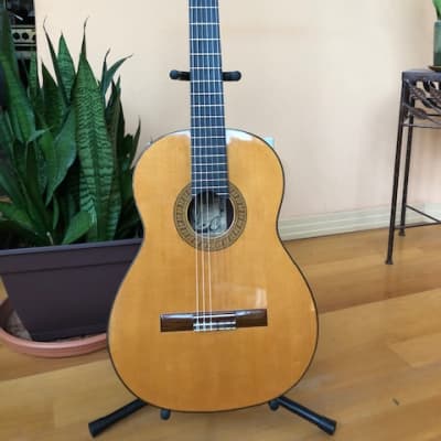 1987 Douglas Ching Classical, Brazilain Rosewood/Spruce for sale