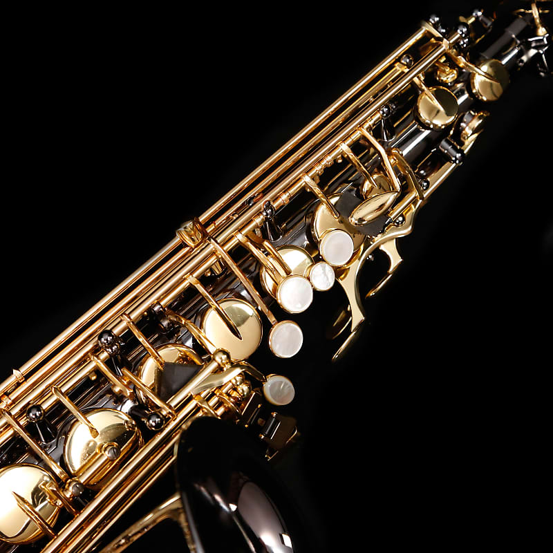 Selmer ''La Voix II'' SAS411B Alto Saxophone, Black Lacquer - NEW MODEL! |  Reverb