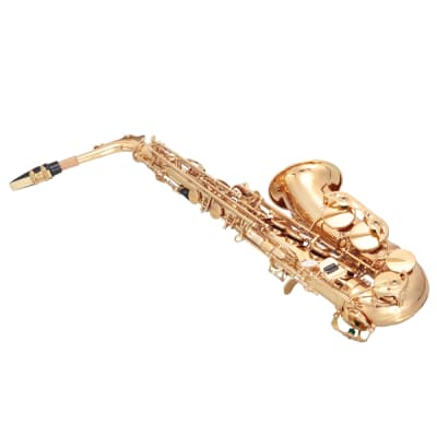 Glarry Alto Saxophone E-Flat Alto SAX Eb with 11reeds, case, carekit, Gold Color for Students image 11
