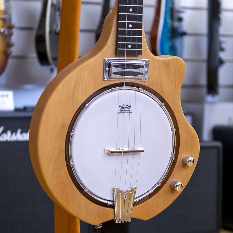 Bryden 5-String Electric Hybrid Mountain Banjo | Reverb