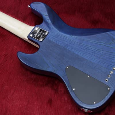 Bacchus WOODLINE 517 AC/E BLU/OIL outlet 4.41kg #139815 | Reverb