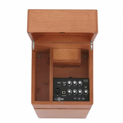 Acus All Around 8 50W Acoustic Combo, Cherry Wood image 2