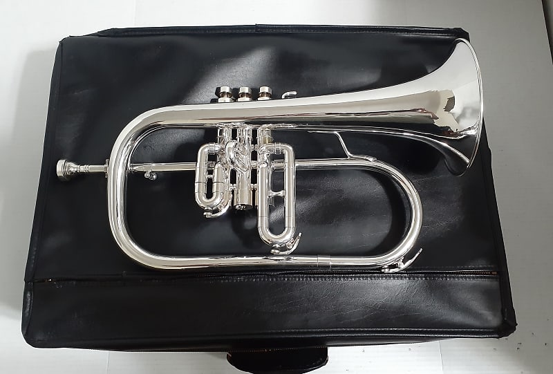 Getzen ETERNA 895S- 3 Valve FLUGELHORN , Mouthpiece & 2 | Reverb