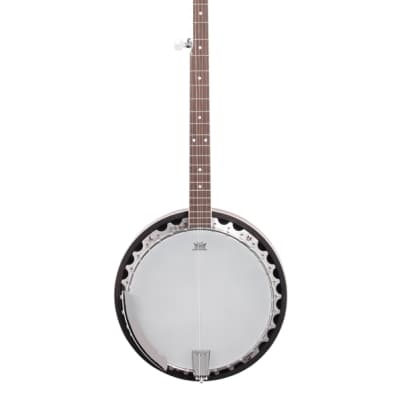 Washburn B9 Five String Banjo image 2