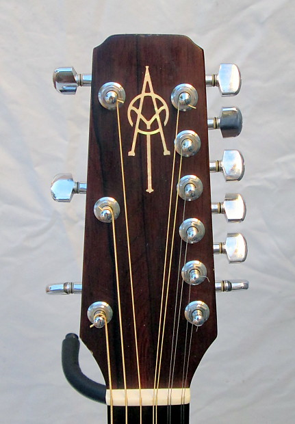 Alvarez 9 string acoustic guitar cheap