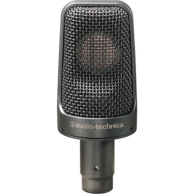 Audio-Technica AE-3000 - Large-Diaphragm Cardioid Instrument Microphone  2-Day Delivery image 1