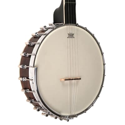 Gold Tone Model WL-250 White Ladye 5-String Open Back Banjo with Hard Case image 10