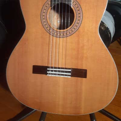 Hohner HC30 Classical Guitar Solid Sitka Top Ovangkol Back and Sides image 12