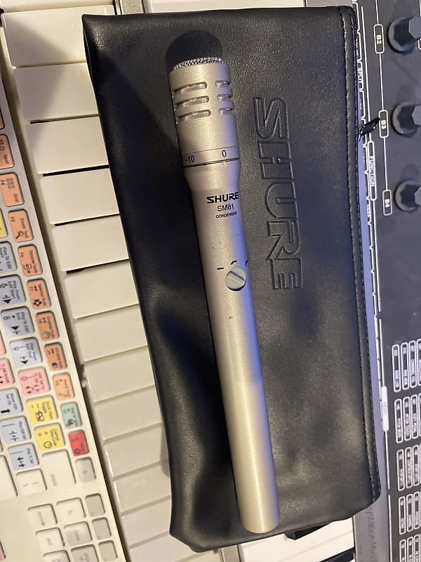 Shure SM81 Reverb