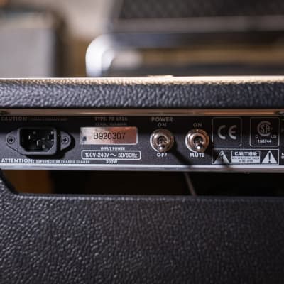 Fender Tone Master Princeton Reverb, 120V image 9