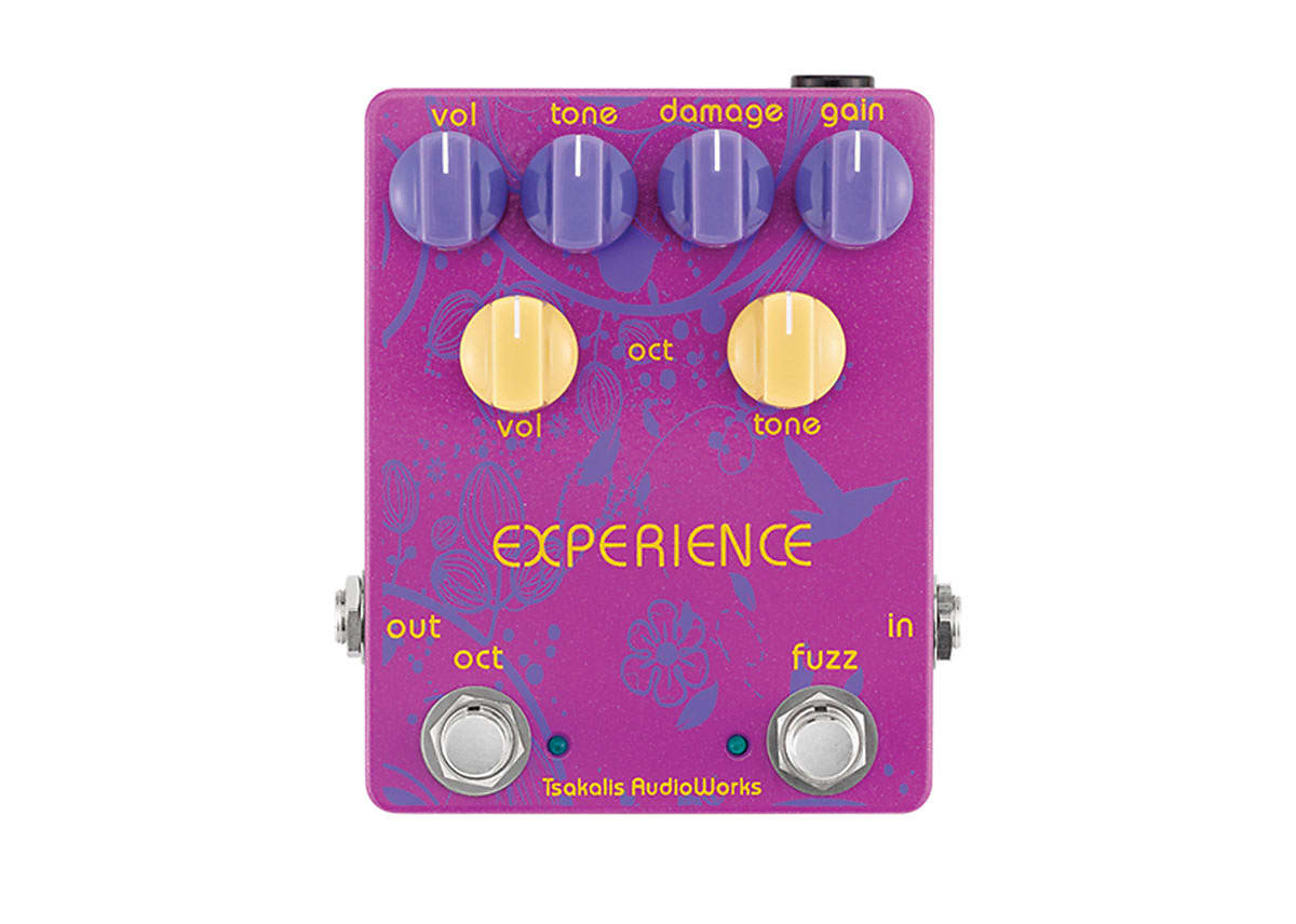 Tsakalis Audioworks Experience Fuzz/Octave | Reverb