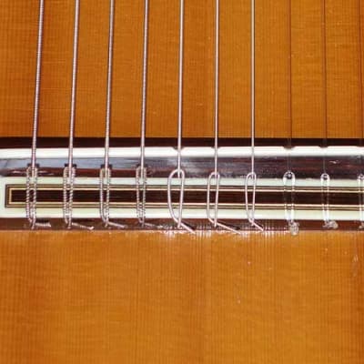 Super Rare 1977  Paulino Bernabe 1a 10-String Guitar Spruce/Brazilian, PB Stamp, w/Original Case image 15