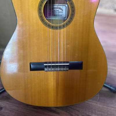 Sigma CS2 Acoustic Guitar for sale