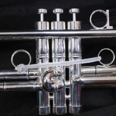 Trompeta Apolo Trumpet «Latino» Plateada image 6