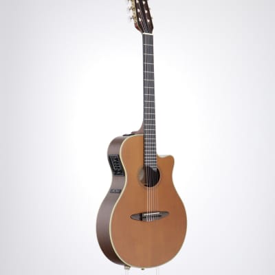 YAMAHA エレガット　APX-10CN YAMAHA APX 10CN for sale - Price and Used Value