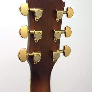 Ibanez AEG20II Flamed Sycamore Top Acoustic-Electric Guitar - Vintage Violin image 9