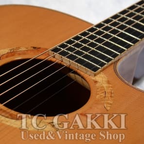 Yokoyama Guitars AR CM image 4