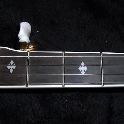 Gold Tone EBM-5 Electric Solid Body Maple Neck Mahogany Top 5-String Banjo w/Hard Case image 7
