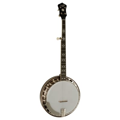 Recording King Songster Closed Back 5-String Banjo with Rolled Brass Tone Ring image 1