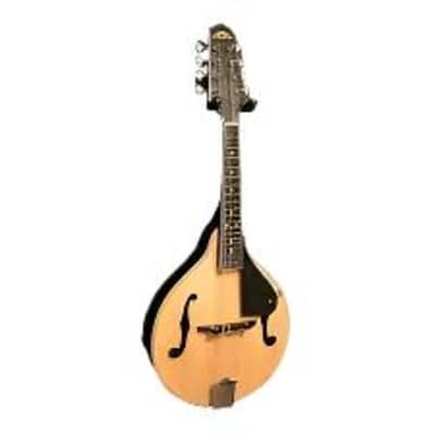 Samick Greg Bennett Electric Mandolin MA 2E WR Red Burst | Reverb