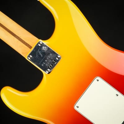 Fender Player Plus Stratocaster Maple Fingerboard Tequila Sunrise image 5