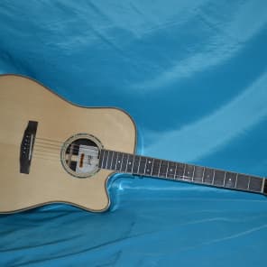 Cort AS-M5 Acoustic Electric, Solid Spruce and Rosewood, Fishman Ellipse Blend Matrix, Case Included image 3