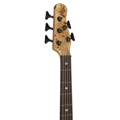 Michael Kelly Pinnacle 5 5-String Bass Guitar (Hollywood, CA) image 5