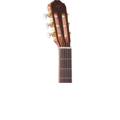 Takamine GC5 Classical Cutaway Guitar Natural image 4