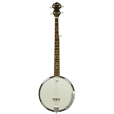 Beaver Creek Bluegrass Banjo Left Handed w/Bag BCBJC18L for sale