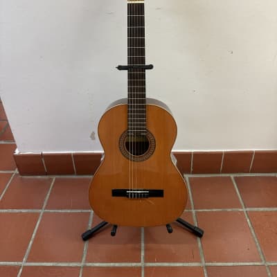 Raimundo Classical / Spanish guitar model 112 for sale