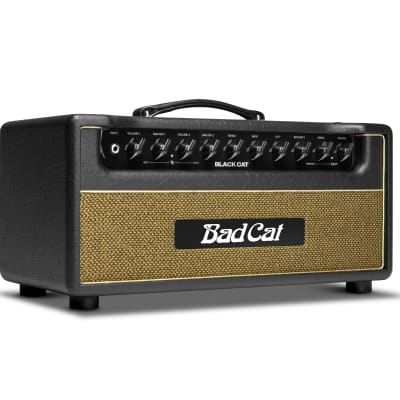 Bad Cat Black Cat 20W Head Amplifier 1x12 Cabinet half stack