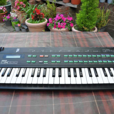 Yamaha DX100 90's - standard