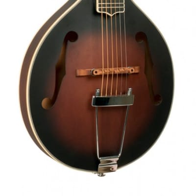Goldtone A-6 - Guitare mandoline de type A (+ housse) for sale
