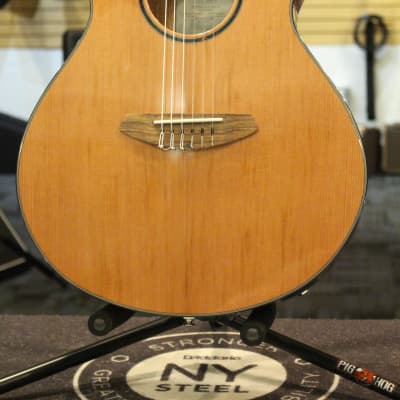 Breedlove Discovery S Concert Nylon CE Natural image 2