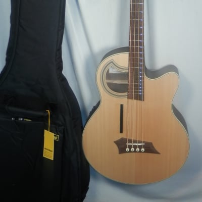 Warwick RockBass Alien Deluxe Acoustic-Electric Bass with gig bag New image 1