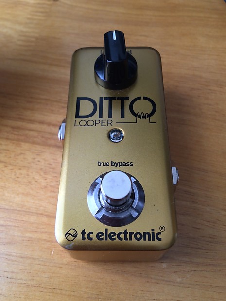 TC Electronic Ditto Looper - Limited Edition Gold | Reverb