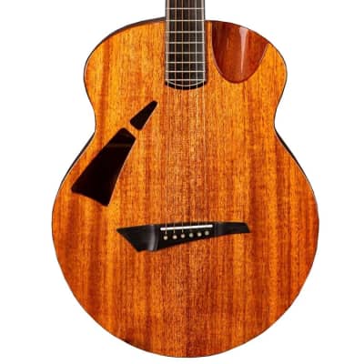 Avian Guitars Skylark 2A Mahogany Acoustic Guitar for sale