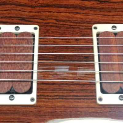 Benavente 2K Custom  T-Rex Guitar image 19