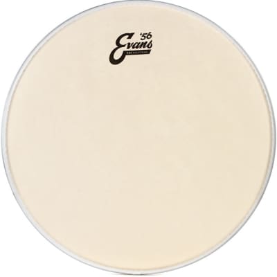 Evans EQ4 Calftone Bass Drumhead - 16 inch image 1