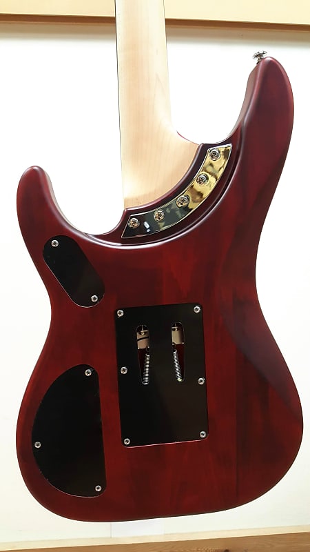 Washburn N24 Nuno Bettencourt Signature electric w Floyd