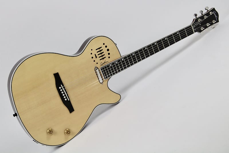 Godin Multiac Steel Prototype 2018 Natural HG w/Tric Case | Reverb Canada