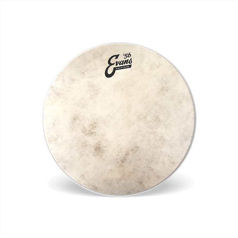 Evans Calftone 57 Drum Head 14" image 1