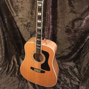 Guild D60 Maple Back "90s Westerly Wonder" Rare Bird  Acoustic Electric Top of the Line Model image 2