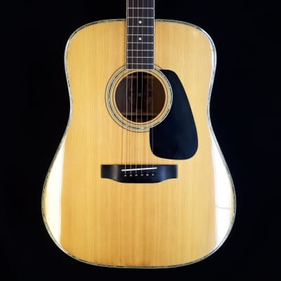 Very rare 1980's made MORRIS TF-805 Solid Spruce Top / | Reverb España