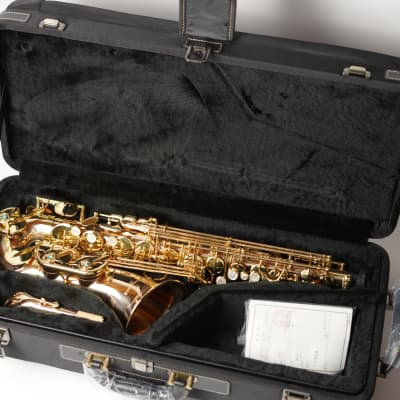 [In Stock]_Freeshipping! Yanagisawa Alto saxophone A WO-2 [AWO2]Bronze Brass Body image 19