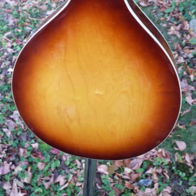 Harmony Monterey mandolin image 7