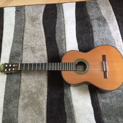 Stephan Connor Concert Guitar- Cedar and Brazilian Rosewood image 1
