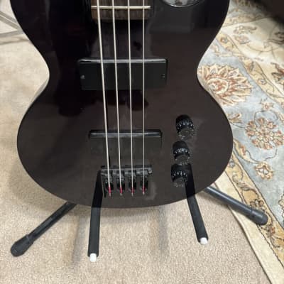 Epiphone Les Paul Special Bass 2006 - 2015 | Reverb
