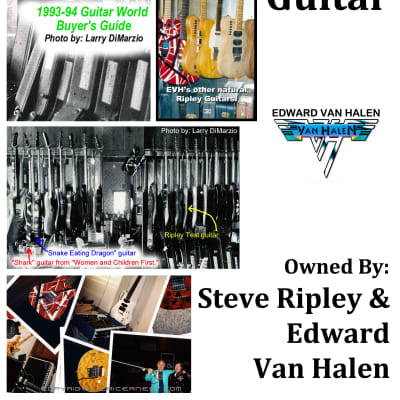 1980's-90's Steve Ripley / EVH infamous VHR "Test Tube" guitar. Owned by Edward Van Halen. From the 5150 stable! image 14